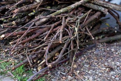 Wood Brush Pile Removal