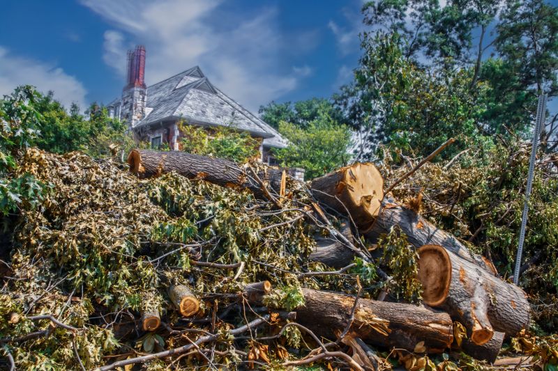 Wood Brush Pile Removal