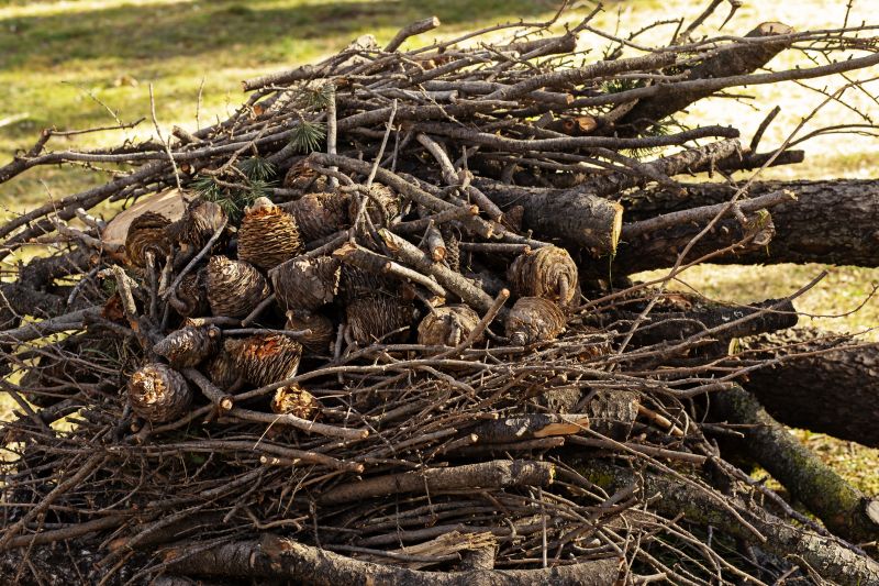 Wood Brush Pile Removal