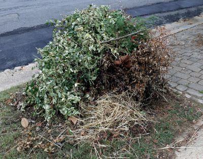 Wood Brush Pile Removal
