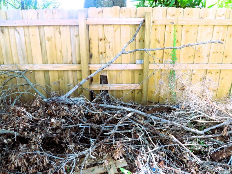 Wood Brush Pile Removal