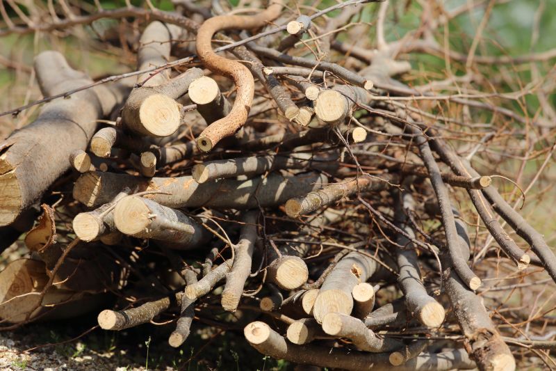 Wood Brush Pile Removal