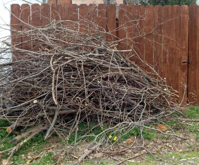 Wood Brush Pile Removal