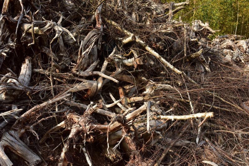 Wood Brush Pile Removal