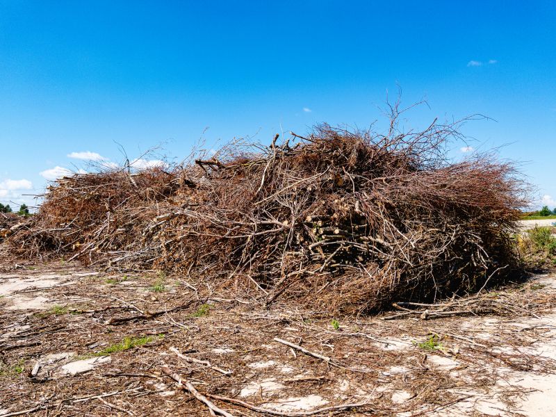 Wood Brush Pile Removal