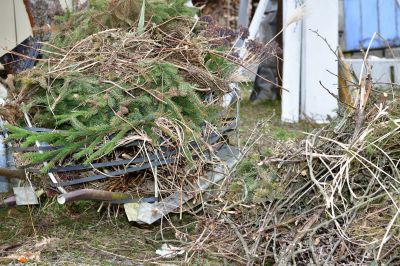 Wood Brush Pile Removal