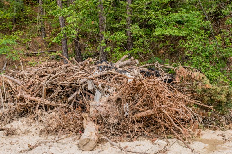 Wood Brush Pile Removal