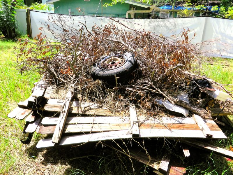 Wood Brush Pile Removal